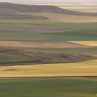 Tierra de Campos palentina