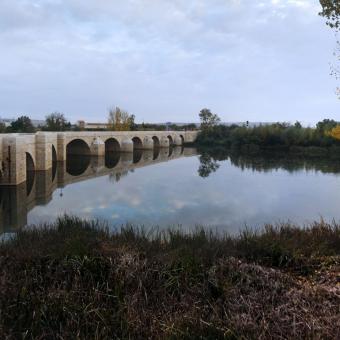 Puente de Torquemada