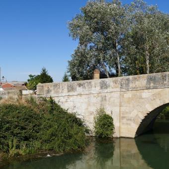 Canal de Castilla y puente de Villaumbrales