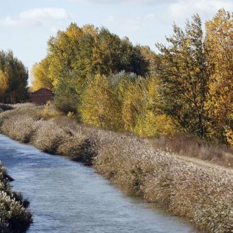 Canal de Castilla a su paso por Belmonte de Campos Canal de Castilla a su paso por Belmonte de Campos