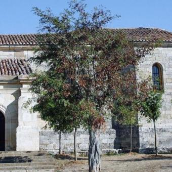 Iglesia de San Cristóbal, Prádanos de Ojeda Iglesia de San Cristóbal, Prádanos de Ojeda
