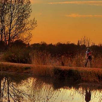 Walk go home - Yésica González González - Canal de Castilla a su paso por Palencia