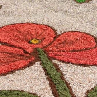 Corpus Christi de Carrión de los Condes Alfombras de Carrión