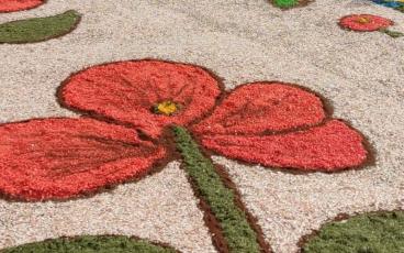 Alfombras de Carrión 