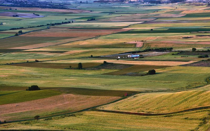 Tierra de Campos