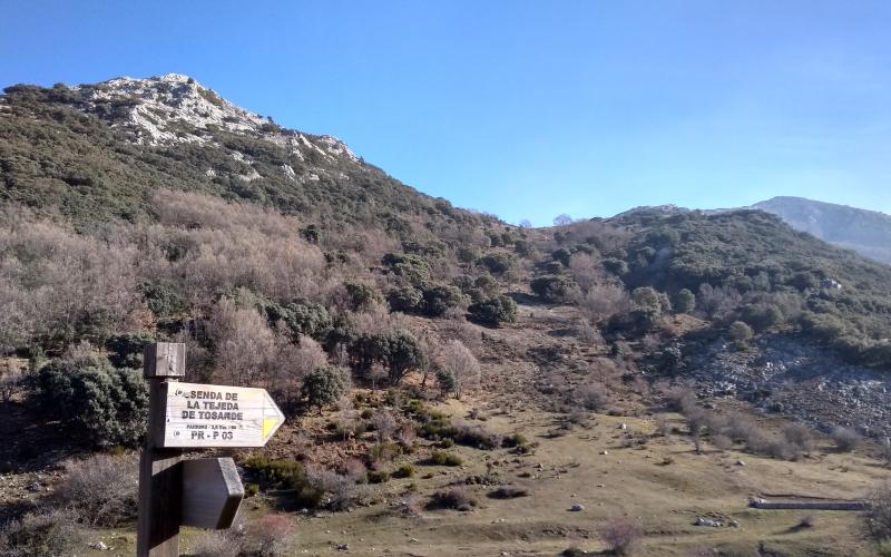 Cruce en la pradera, Tejeda de Tosande