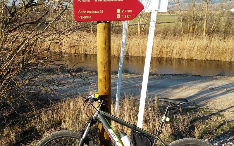 Señalización del camino Tren Burra