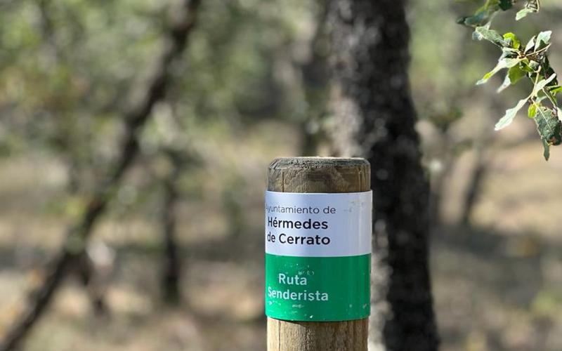 Quejigar de Hérmedes de Cerrato