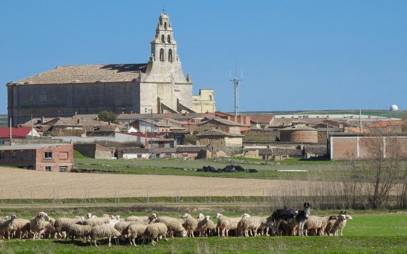 El Pajarón de Campos desde la lejanía