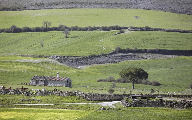 Paisaje del Cerrato, Antiguedad