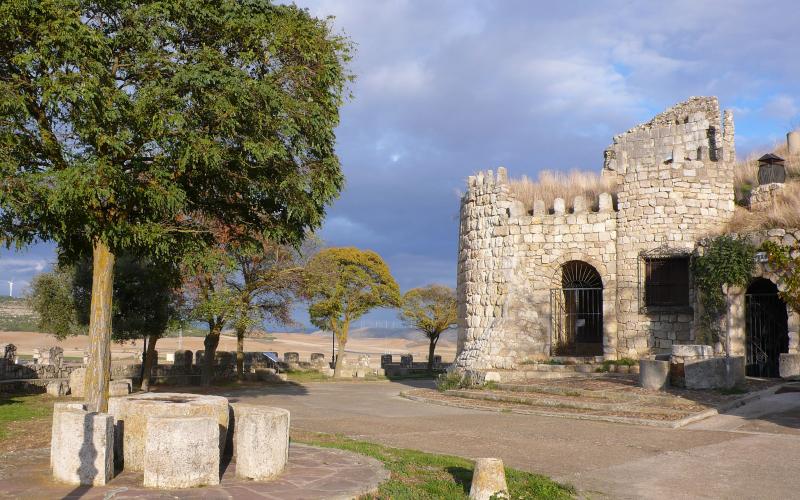 Castillo de la Mota