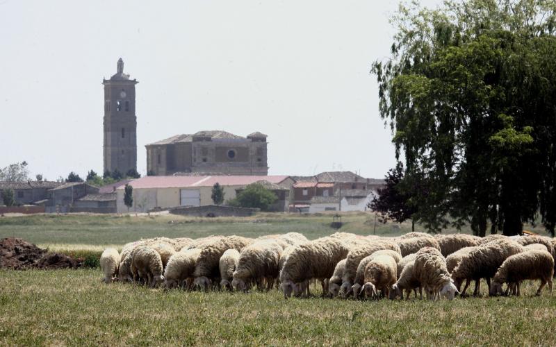 Panorámica de la Iglesia de Santa Eufemia