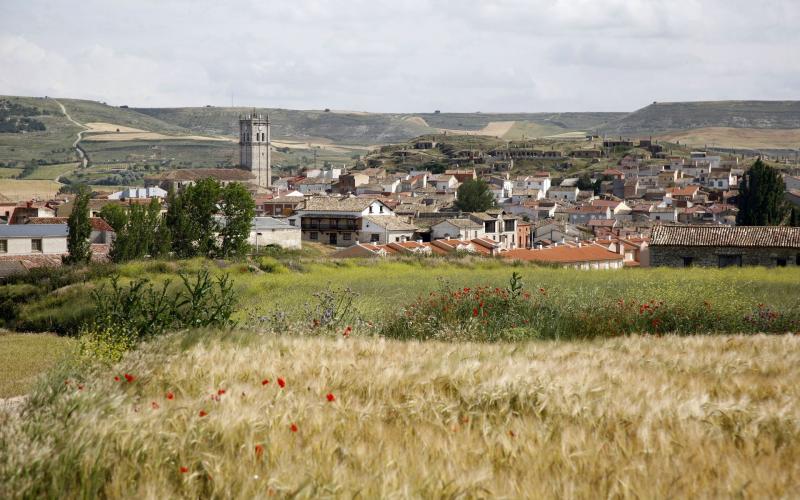 Panorámica de Baltanás