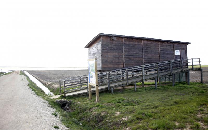 Laguna de la Nava en Boada de Campos