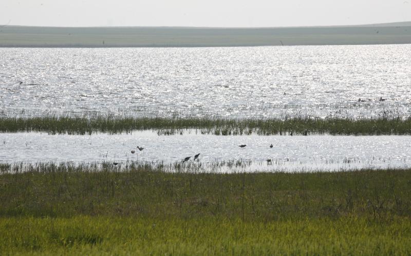 Laguna de Boada de Campos