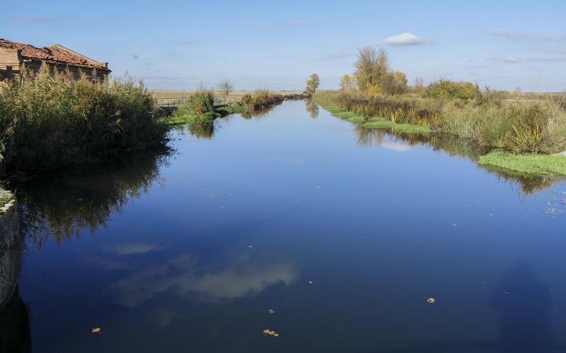 Canal de Castilla a su paso por Boadilla del Camino