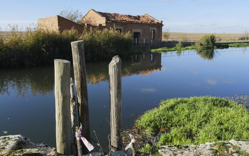 Canal de Castilla a su paso por Boadilla del Camino