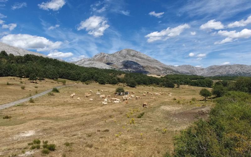 Camino Olvidado, al fondo Peña Redonda