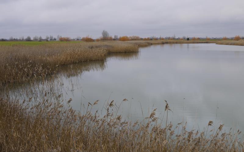 La Toja, Canal de Castilla, Ribas de Campos