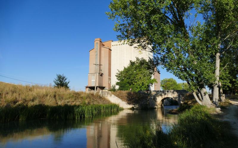 La treinta, Canal de Castilla, Grijota