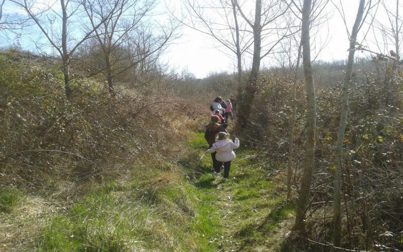 Caminando por los montes de Canduela