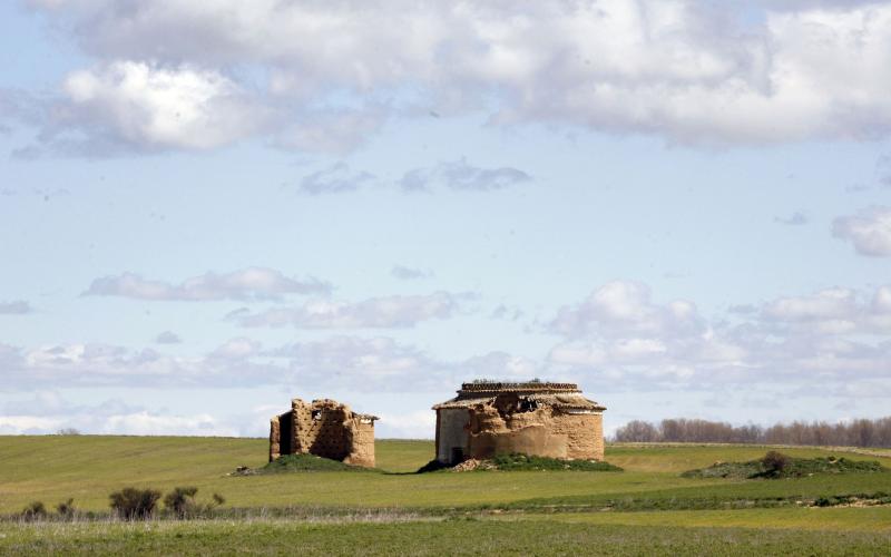 Panorámica de palomares