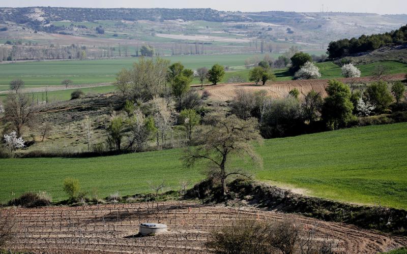 Paisaje de Castrillo de Don Juan