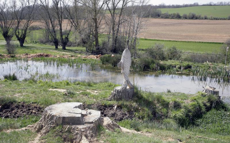 Paraje de Congosto de Valdavia