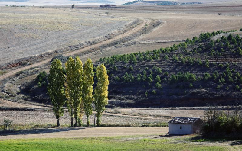 Paisaje en Dehesa de los Romanos