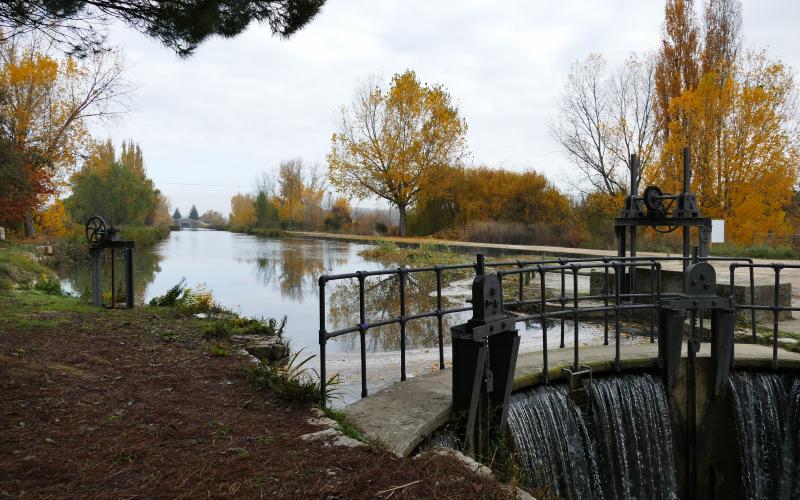 Ramal Sur del Canal de Castilla a su paso por Dueñas