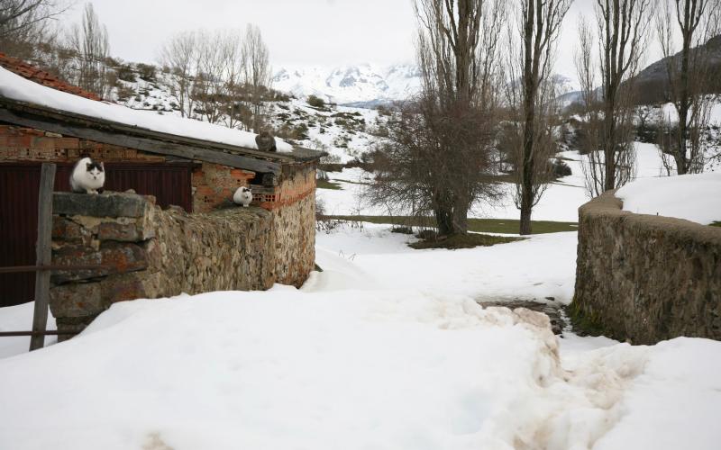 Entre las calles de El Campo