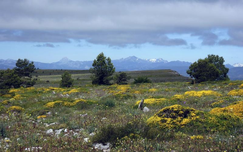 Geoparque Las Loras y Montaña Palentina