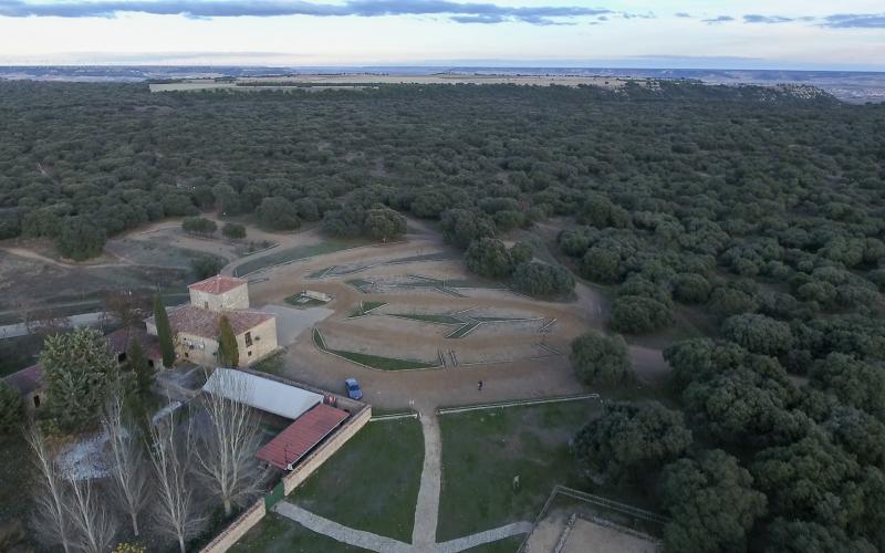 Monte el Viejo