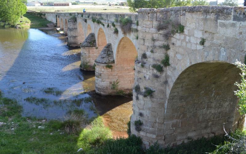 Puente de Palenzuela