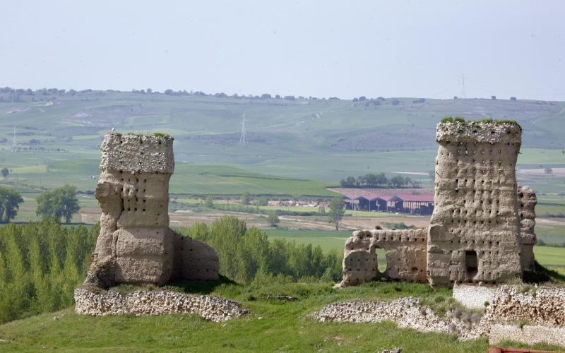 Castillo de Palenzuela