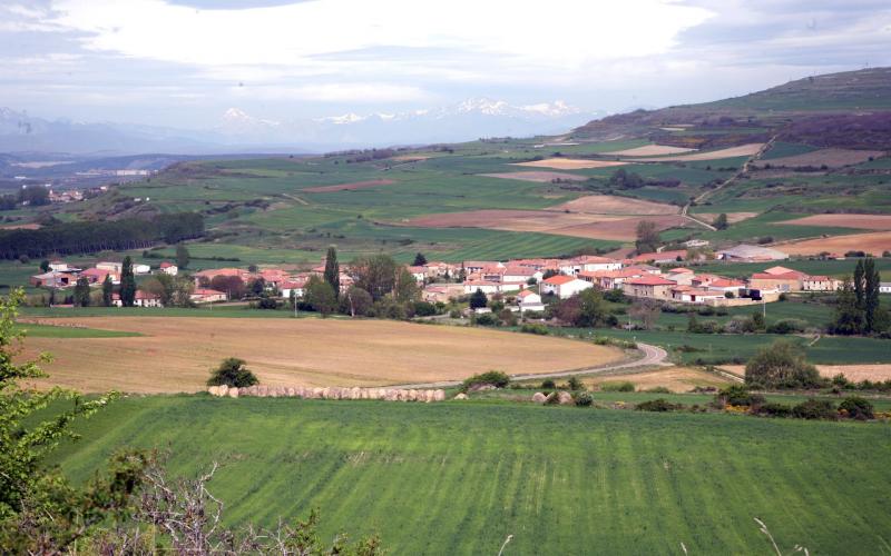 Panorámica de Pomar de Valdivia