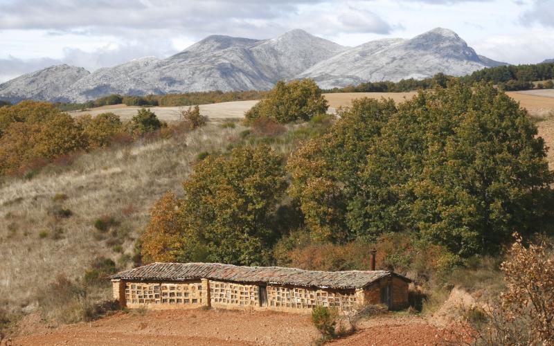 Colmenares en Roscales de la Peña, al fondo la Sierra de la Peña, Montaña Palentina