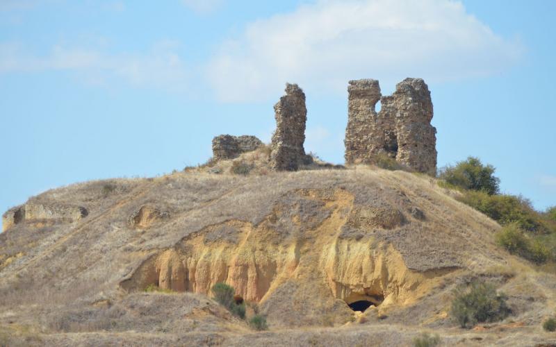 Castillo de los Condes de Saldaña