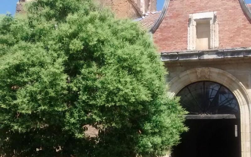 Fachada de la Iglesia de San Pedro-Museo de la Olmeda