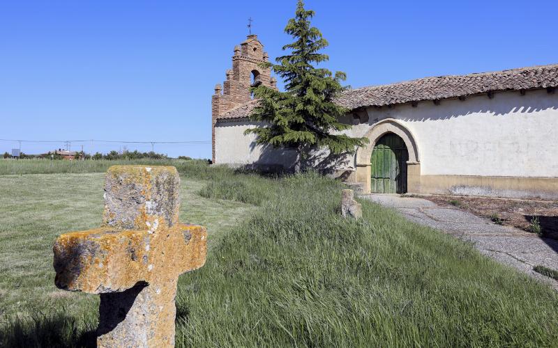 Ermita en San Mamés de Campos