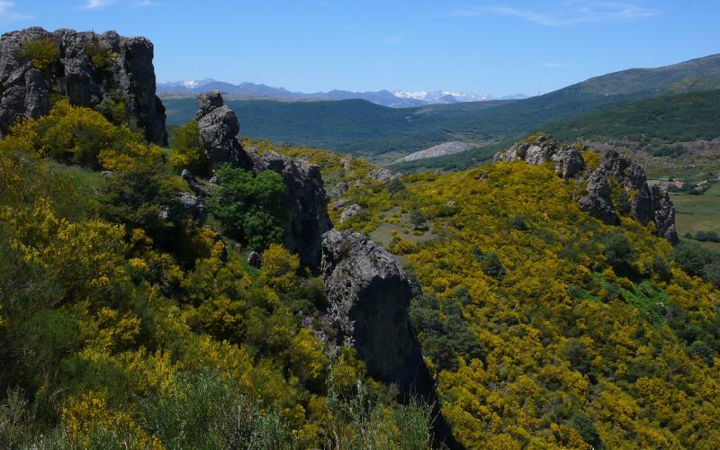 Montaña Palentina en la Senda de Ursi