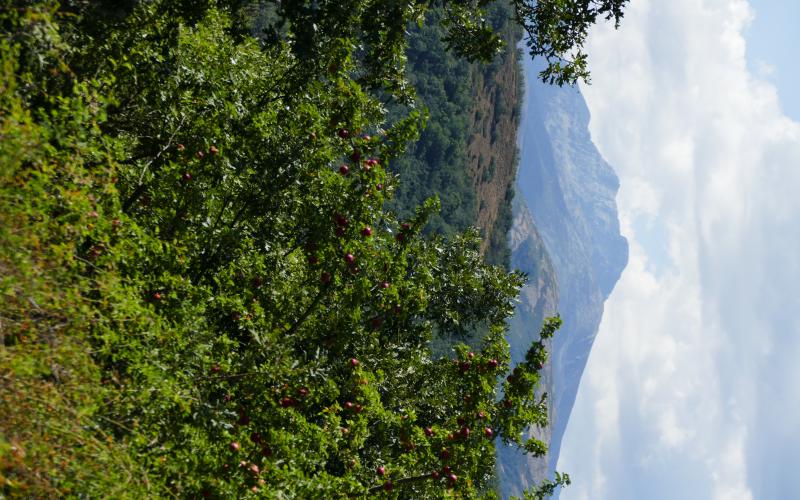 Panorámica Montaña Palentina, Senda del Oso