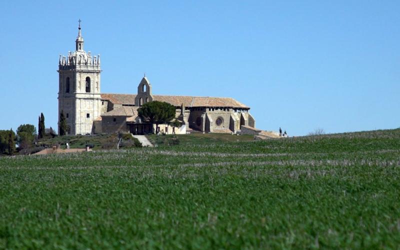 Panorámica Támara de Campos