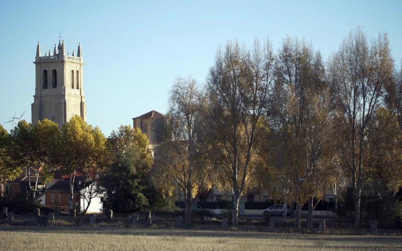 Panorámica de Villamuriel de Cerrato