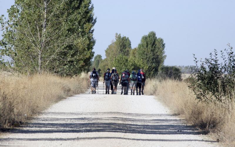 Peregrinos Camino de Santiago