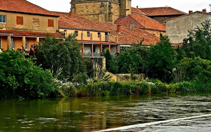 El río Pisuerga y de fondo la colegiata de San Miguel